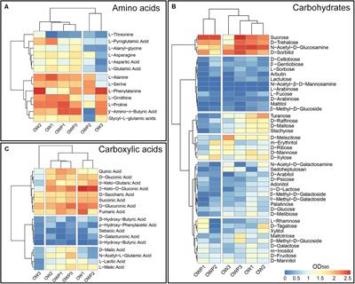 Fungal Community, Metabolic Diversity, and Glomalin-Related Soil Proteins (GRSP) Content in Soil Contaminated With Crude Oil After Long-Term Natural Bioremediation